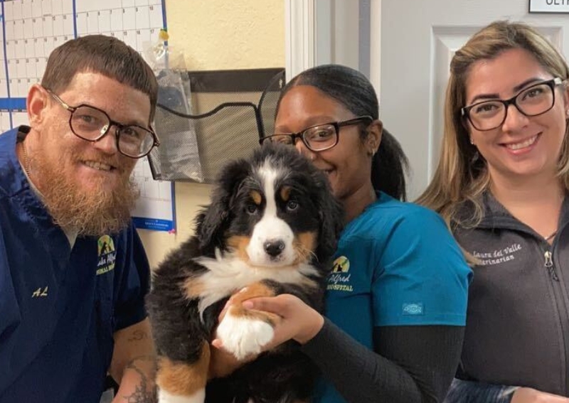 Lake Alfred Animal Hospital Lake Alfred Veterinarians